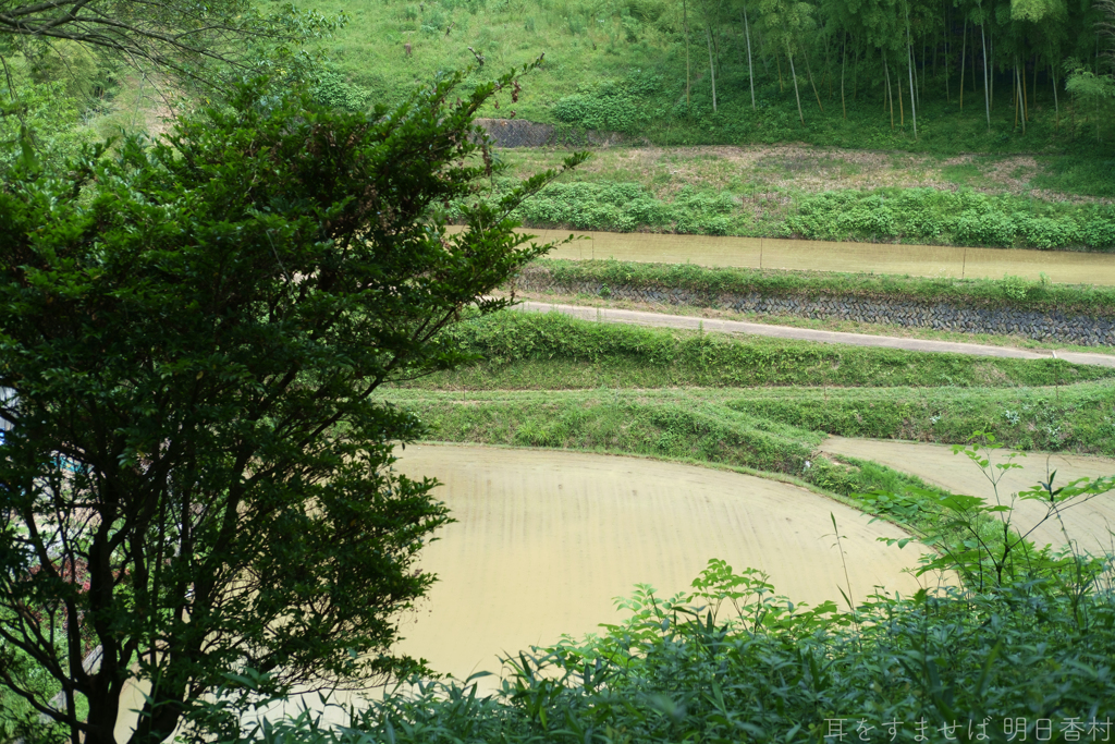 明日香村　大字平田