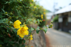 明日香村　大字立部