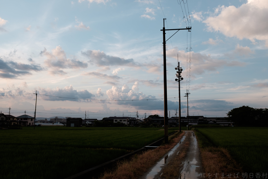 橿原市城殿町　本薬師寺跡