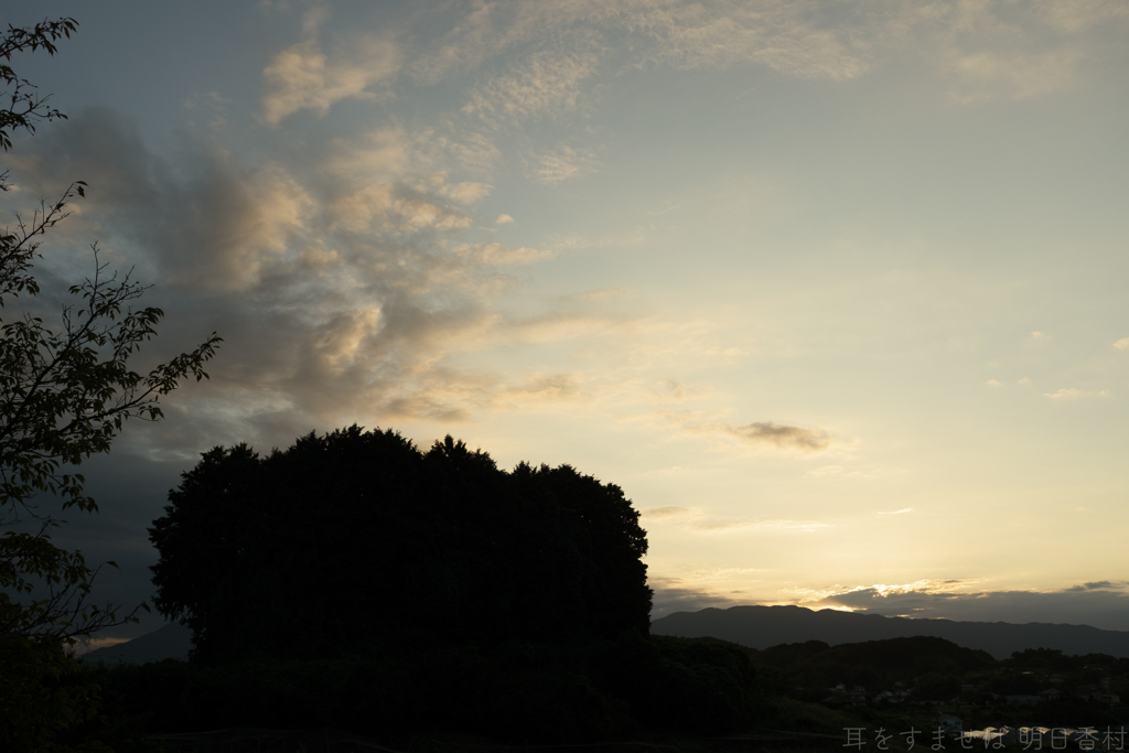 明日香村　大字平田（ 国営飛鳥歴史公園 高松塚周辺地区 ）