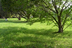 明日香村 大字川原 明日香村 大字川原