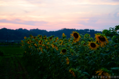 明日香村　大字岡