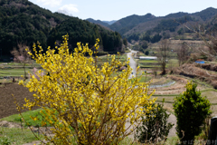 明日香村　大字稲渕