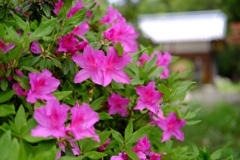 明日香村 大字檜前 明日香村 大字檜前