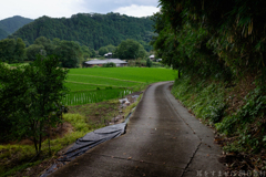 明日香村　大字島庄