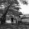 橿原市　畝傍山口（ おむねやま ）神社