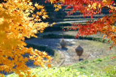 明日香村　大字稲渕
