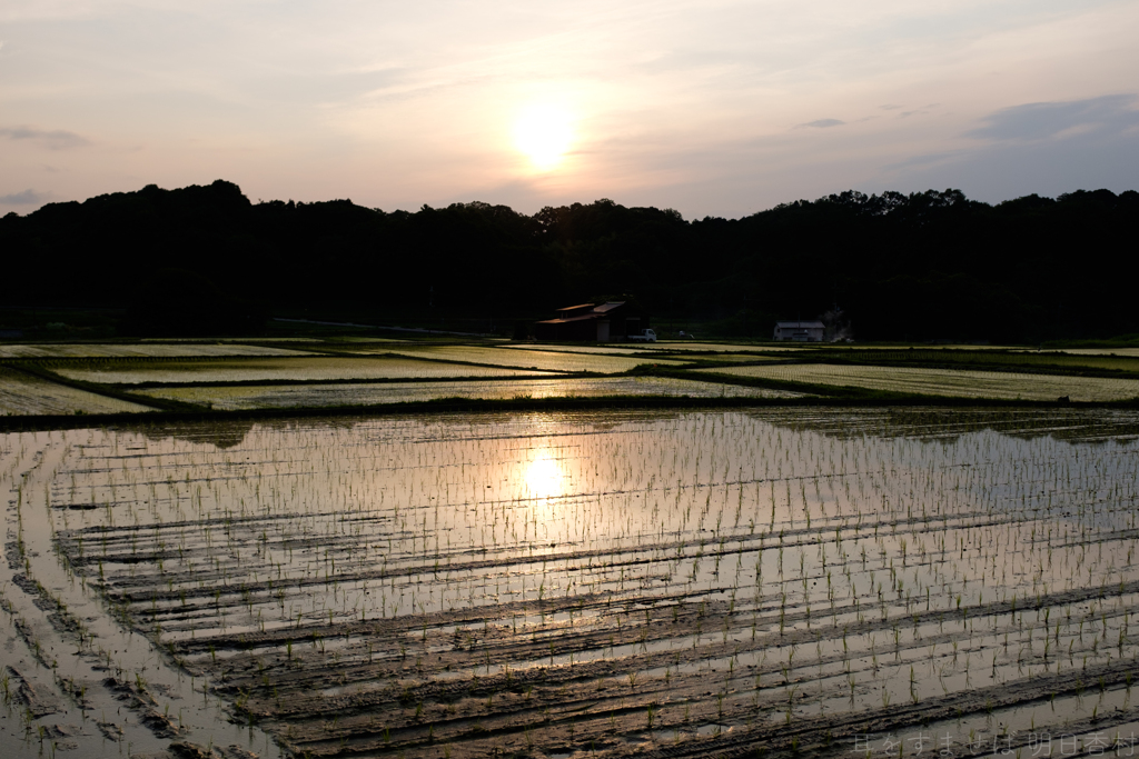 明日香村　大字飛鳥