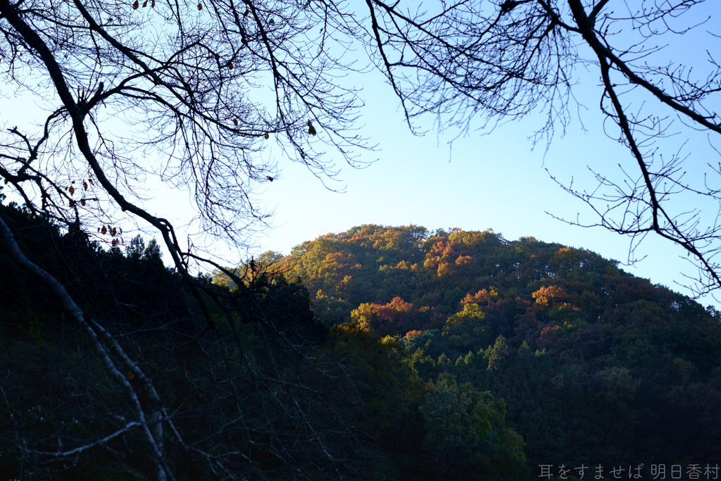明日香村　大字稲渕