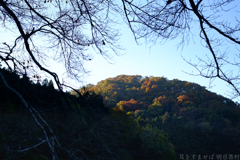 明日香村　大字稲渕