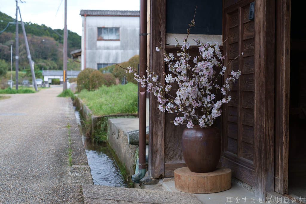明日香村　大字橘　橘寺