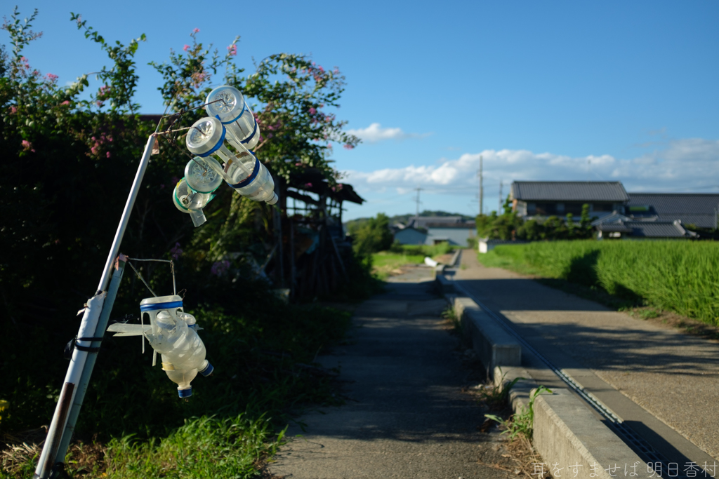 明日香村　大字飛鳥