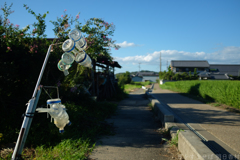 明日香村 大字飛鳥 明日香村 大字飛鳥