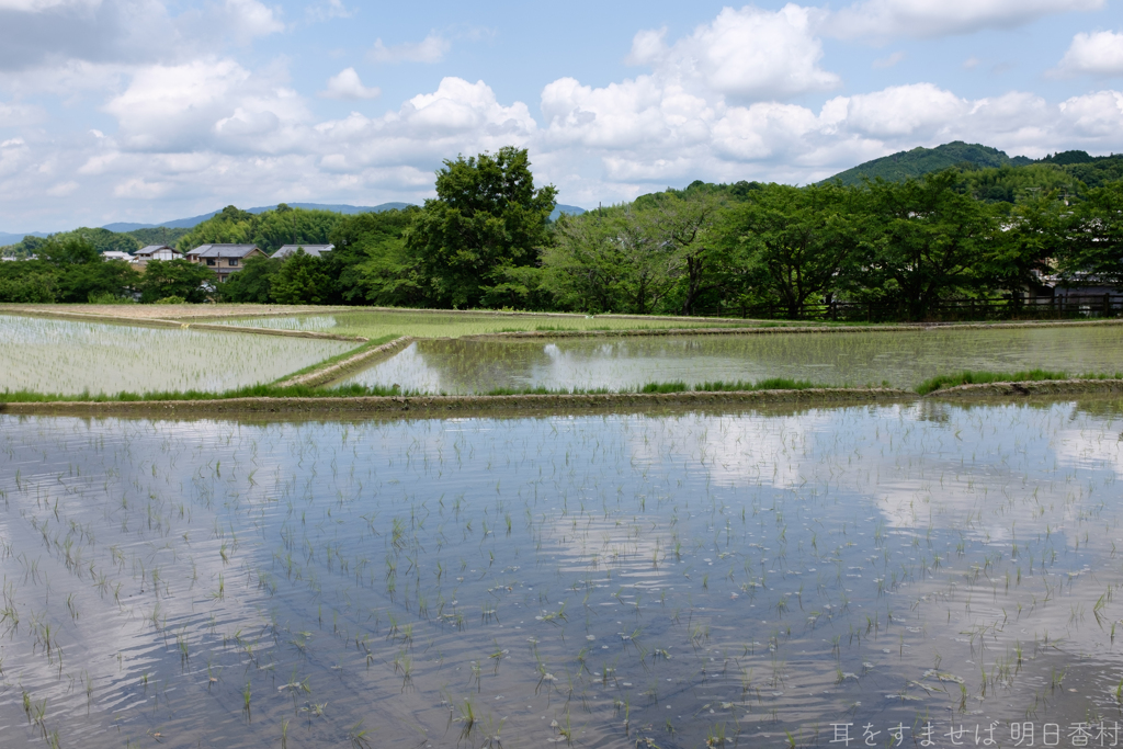 明日香村　大字川原
