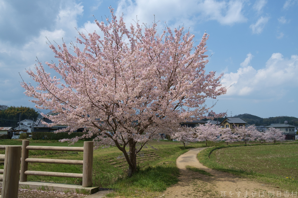 明日香村　大字御園