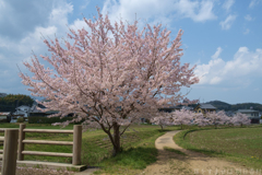明日香村　大字御園