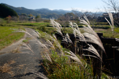 明日香村　大字御園