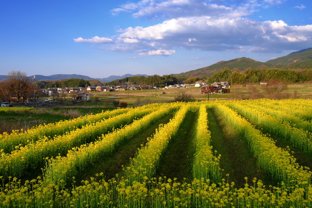 明日香村　大字飛鳥