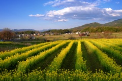 明日香村 大字飛鳥 明日香村 大字飛鳥