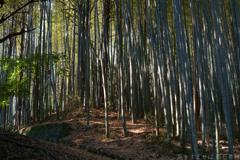 明日香村　大字島庄