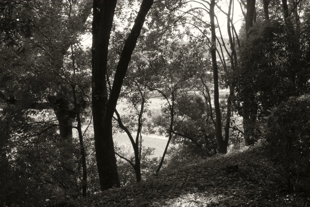 明日香村 平田 （ 国営飛鳥歴史公園 高松塚地区 ）