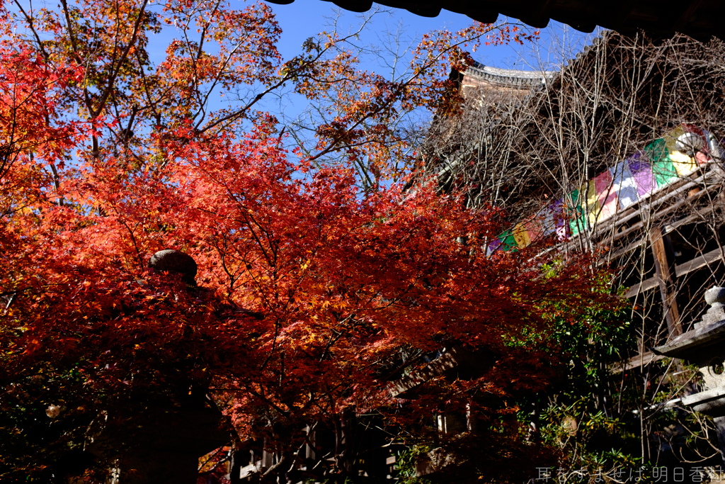 奈良県桜井市　長谷寺