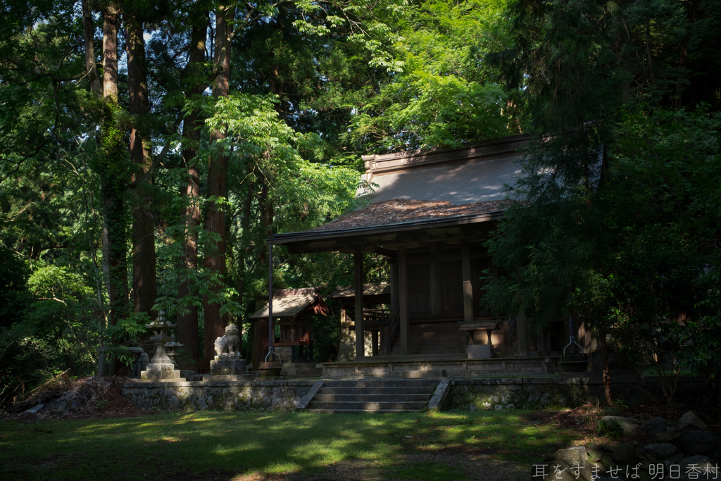 明日香村　大字稲渕　飛鳥川上坐宇須多伎比売命神社