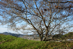 明日香村 大字栗原 明日香村 大字栗原
