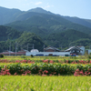 御所市　櫛羅