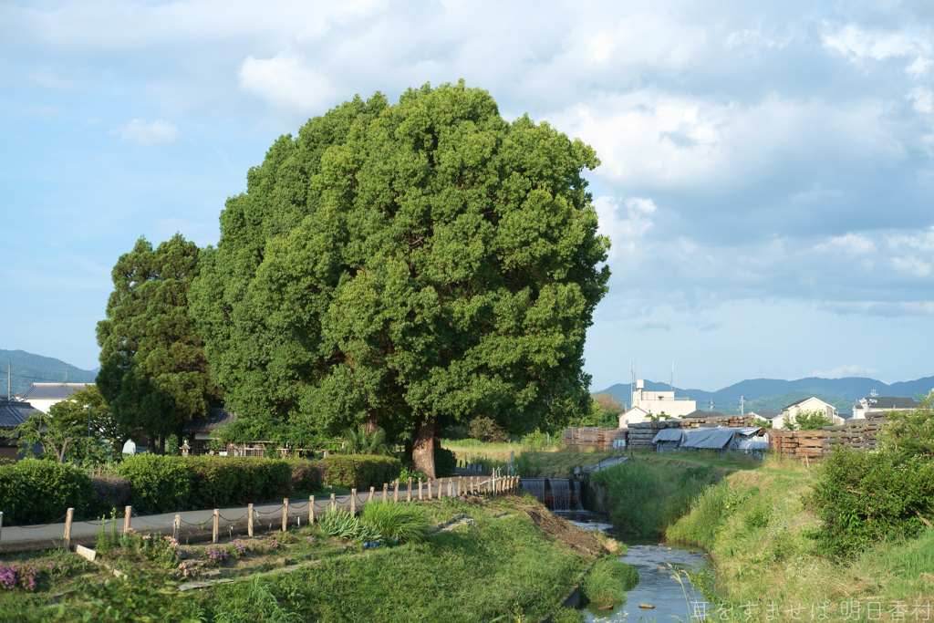 橿原市　耳成山付近