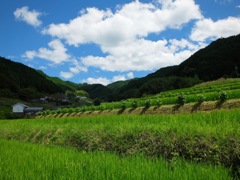 明日香村 尾曽（ おおそ ）