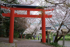 橿原市　畝火山口神社