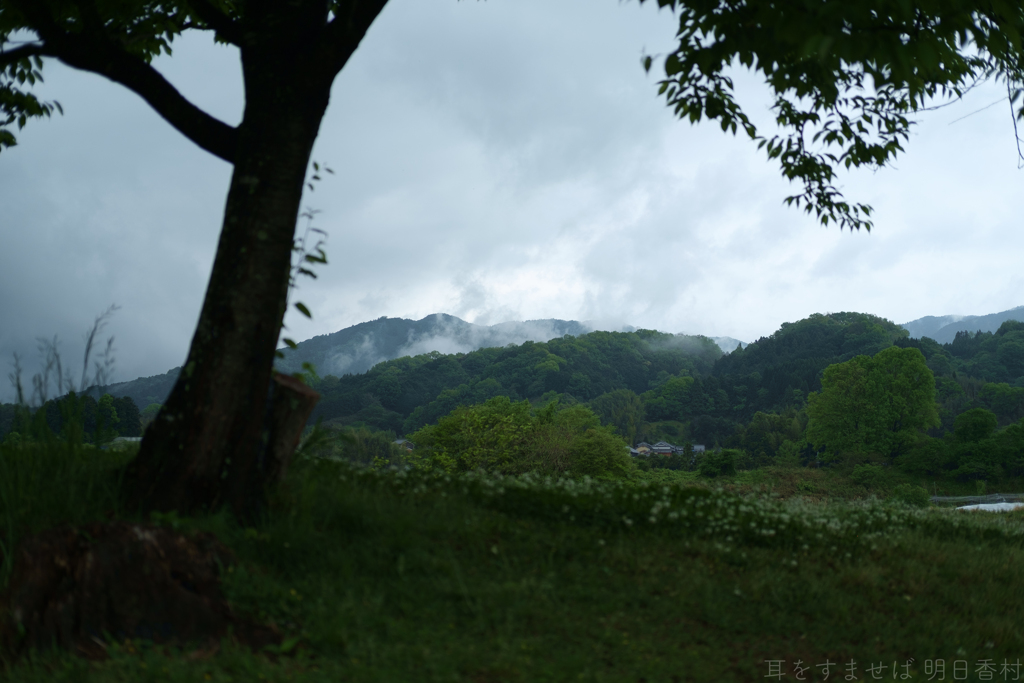 明日香村　大字平田（ 国営飛鳥歴史公園　高松塚周辺地区 ）