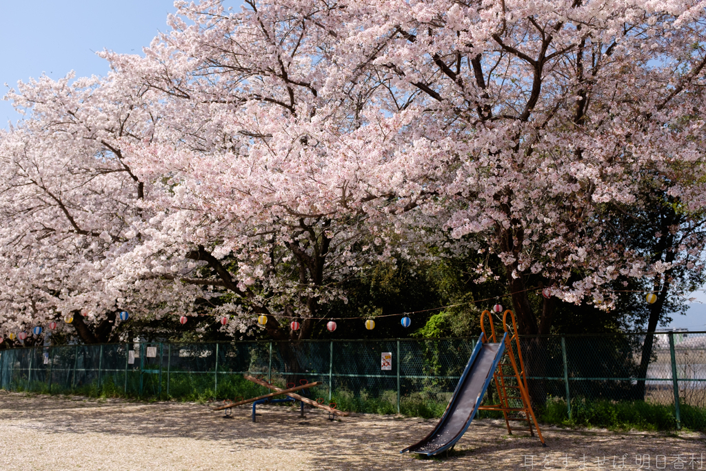 橿原市菖蒲町