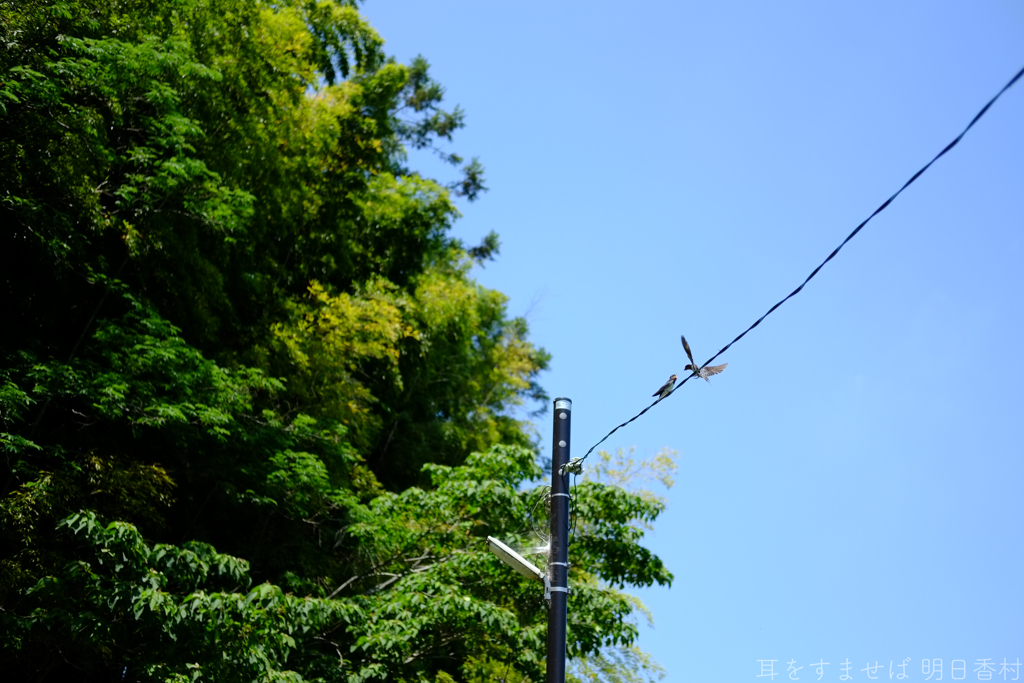 明日香村　大字川原