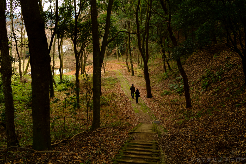 明日香村 大字豊浦（ 甘樫丘 ）