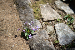 明日香村　大字稲渕