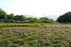 明日香村 大字飛鳥 明日香村 大字飛鳥