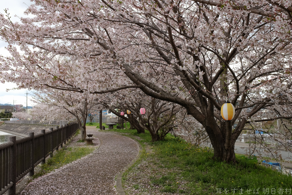 橿原市　石川町