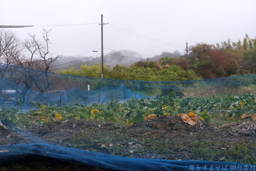明日香村　大字平田