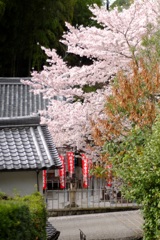 明日香村　大字岡　岡本寺