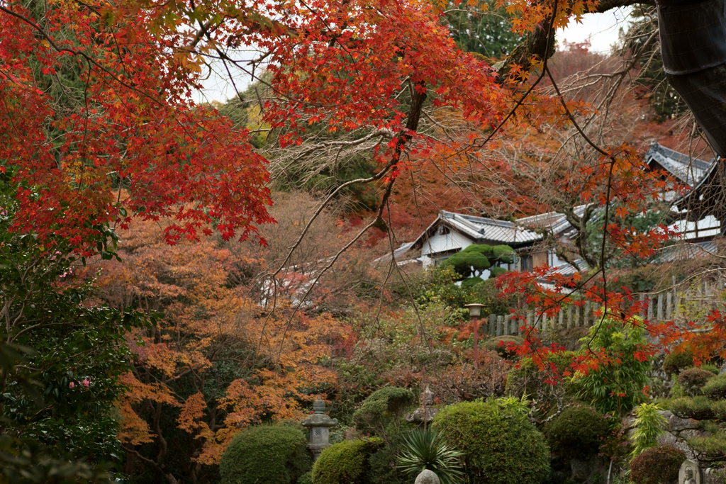 奈良県御所市　九品寺