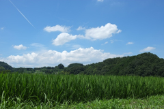明日香村　大字阪田