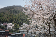 明日香村 大字稲渕 明日香村 大字稲渕