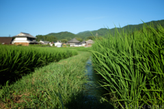 明日香村 大字飛鳥 明日香村 大字飛鳥
