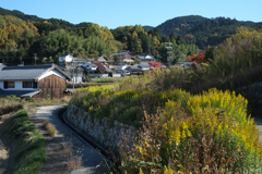明日香村 大字大根田 明日香村 大字大根田