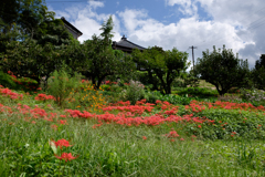 明日香村　大字立部