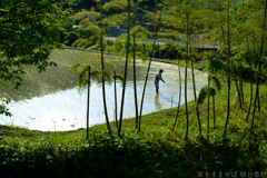 明日香村 大字稲渕 明日香村 大字稲渕