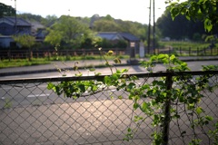 明日香村 大字飛鳥 明日香村 大字飛鳥