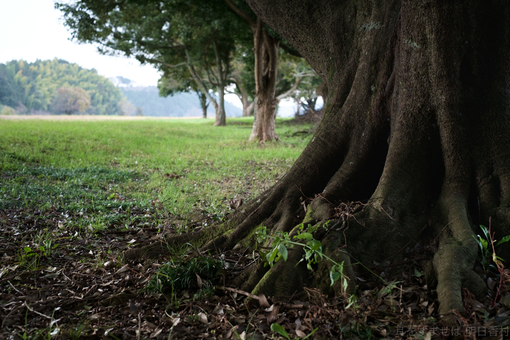 明日香村　大字川原